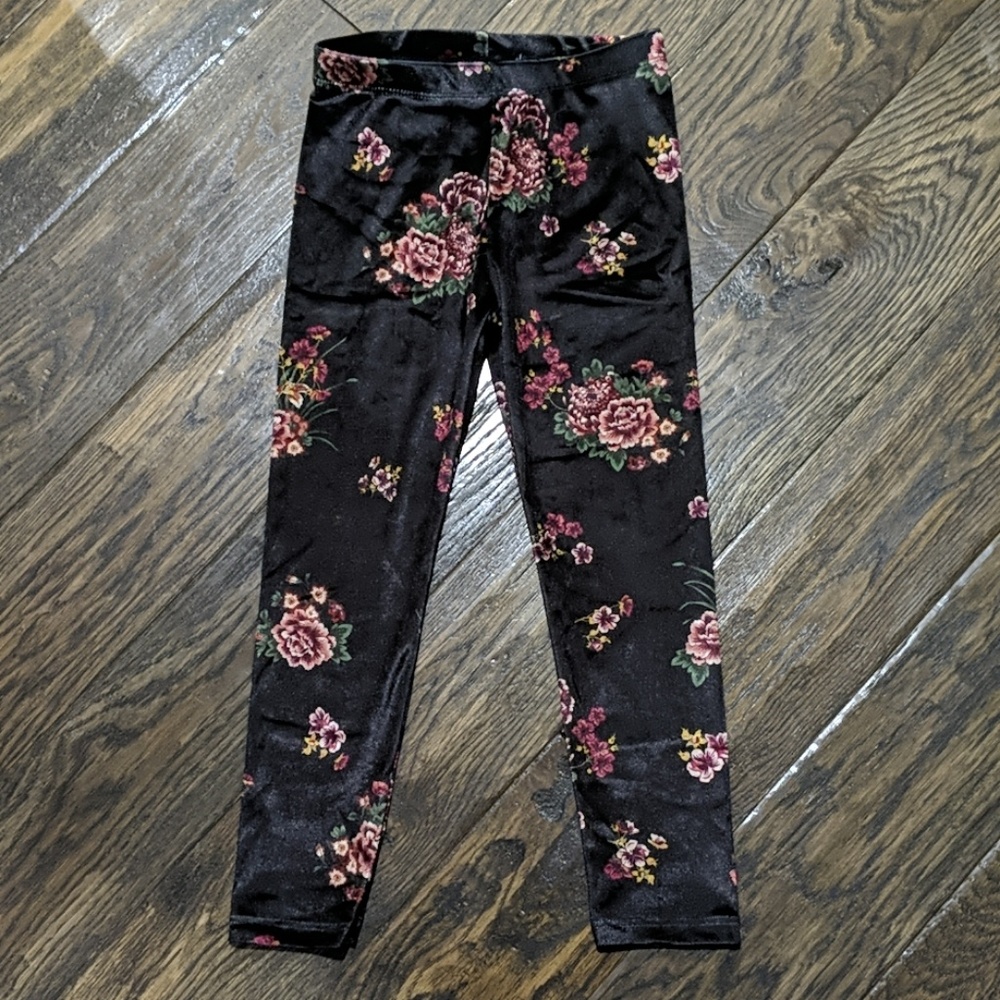 Zara Floral Velour Pants NWT